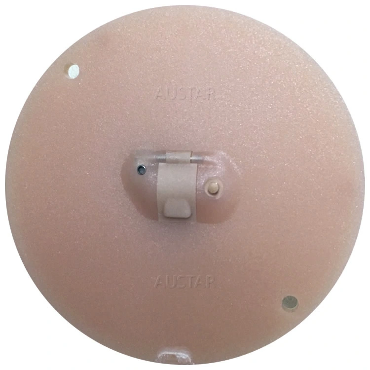 Austar Hearing Aid Accessories Parts Wholesale Customized in The Ear Blank Hearing Aid Faceplate Kit